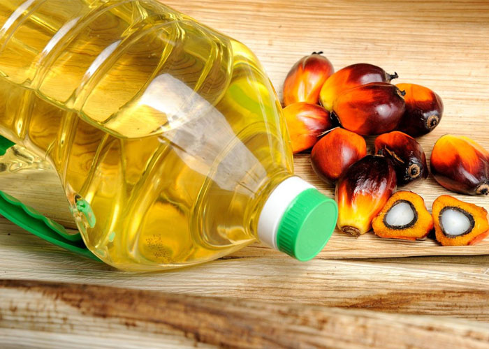 Procesadora de palma de aceite